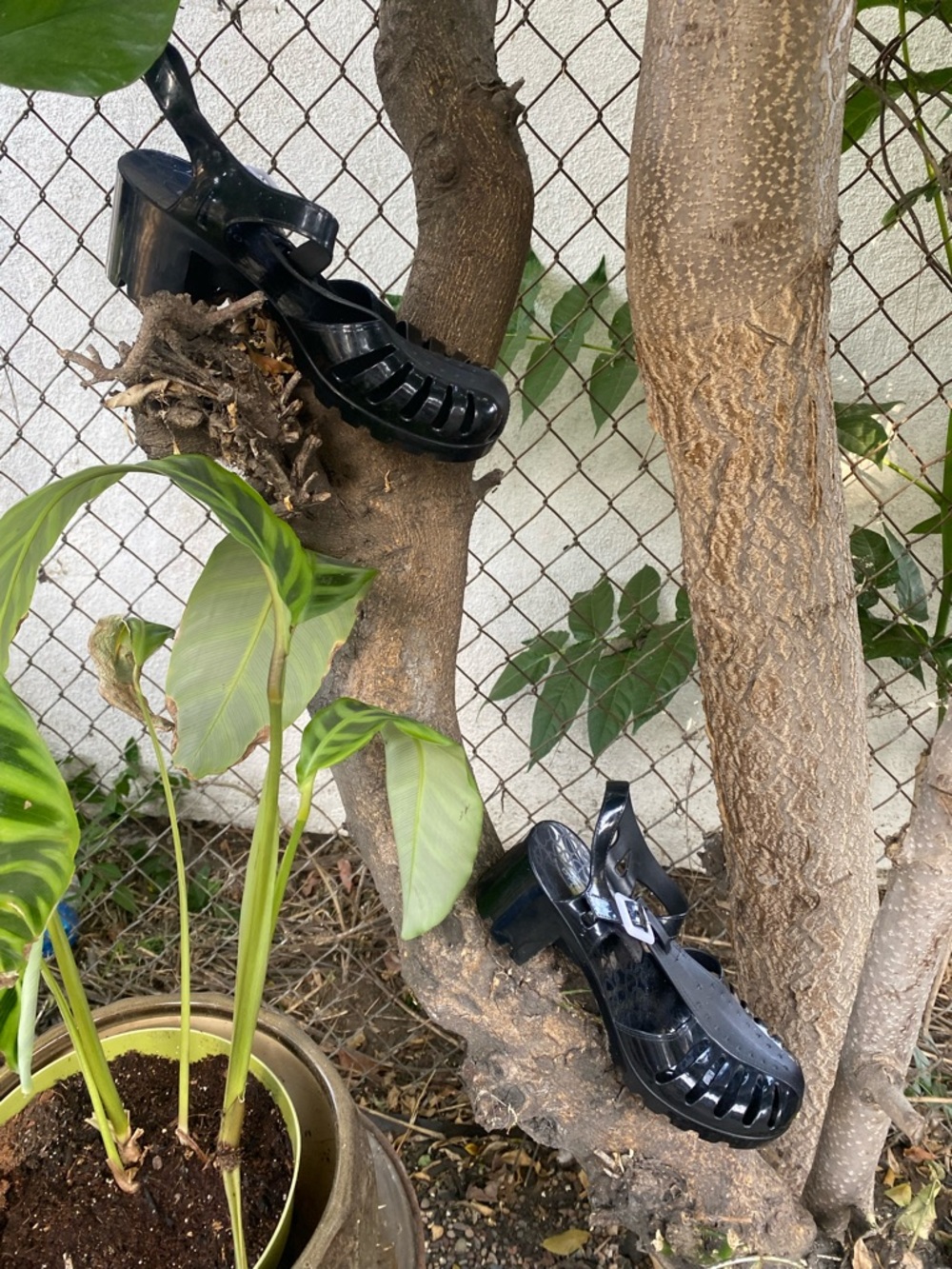 BAMBOO Black Jelly Platform Sandals